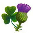 Shamrock and Thistle